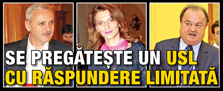 Se pregateste un USL cu raspundere limitata