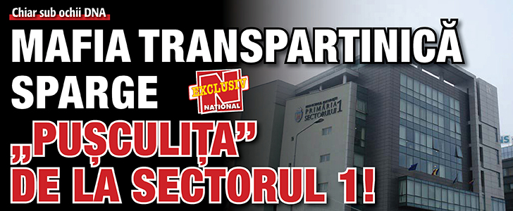 Mafia transpartinica sparge „pusculita” de la Sectorul 1!