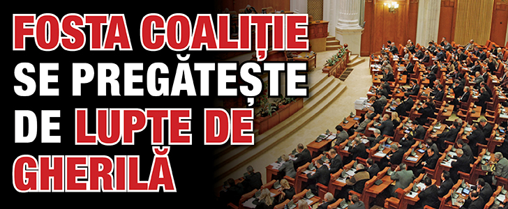 Fosta coalitie se pregateste pentru lupta de gherila