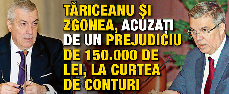 Tariceanu si Zgonea, acuzati de un prejudiciu de 150.000 de lei la Curtea de Conturi