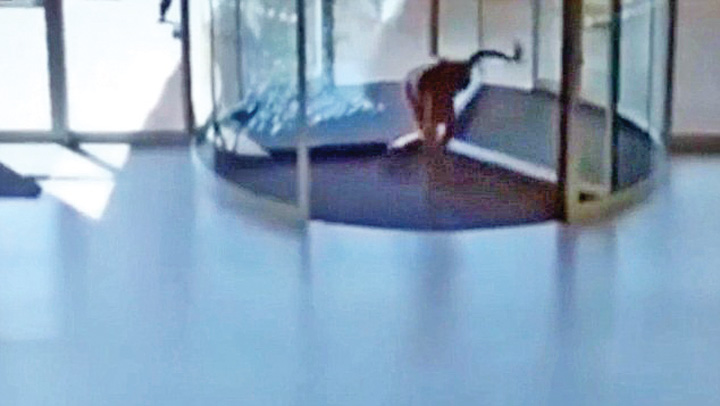 Patimile unei hoate care a dat o spargere intr-un mall din Africa de Sud. Filmul a devenit viral