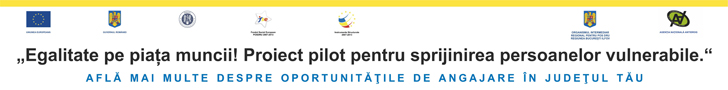 Egalitate pe piata muncii! Proiect pilot pentru sprijinirea persoanelor vulnerabile