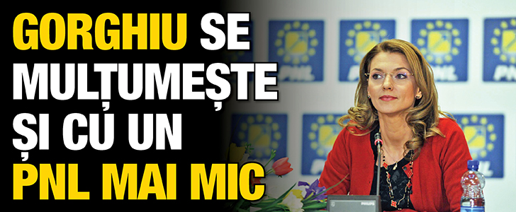 Conteaza doar sa fie curatel: Gorghiu se multumeste si cu un PNL mai mic