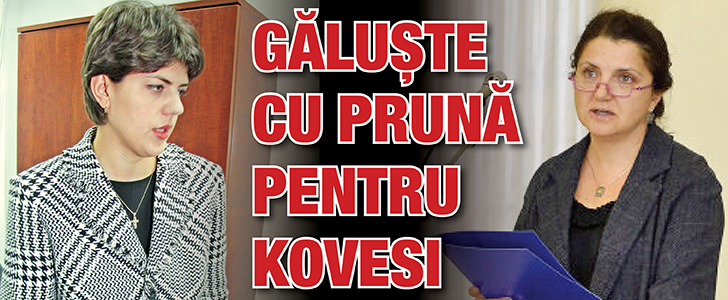 Galuste cu Pruna pentru sefa DNA