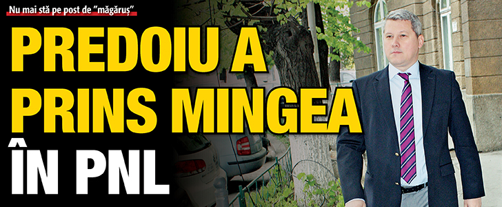 Predoiu a prins mingea in PNL