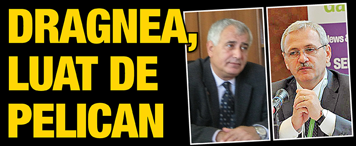 Dragnea, luat de Pelican