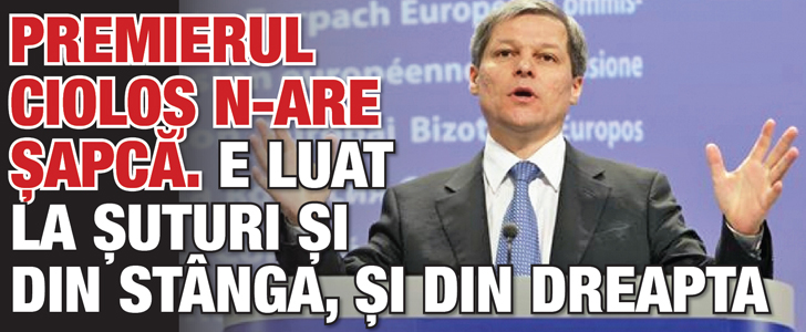 Ciolos, luat la suturi si din stanga, si din dreapta