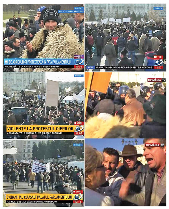 Ciobanii frumosi si liberi