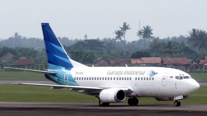 Un avion indonezian, imobilizat la sol de o albina