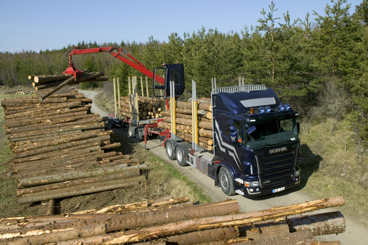 camion incarcare busteni - Ziarul National