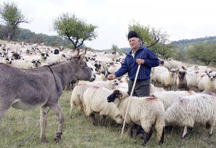 Fermierii si-au luat inca o teapa tehnocrata