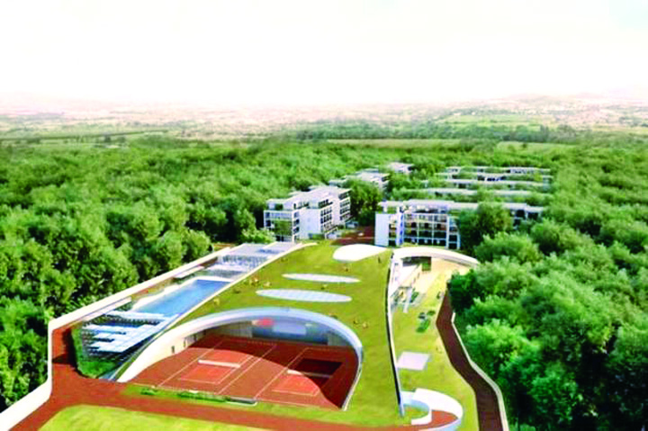 complex - Ziarul National