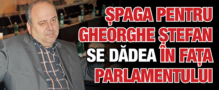 Spaga pentru Gheorghe Stefan se dadea in fata Parlamentului