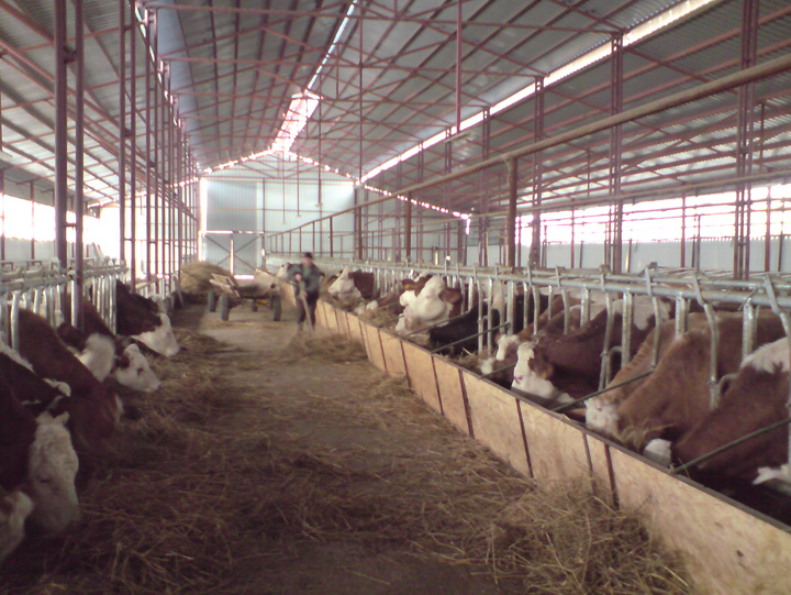 Fermierii scapa de taxa pe stalp