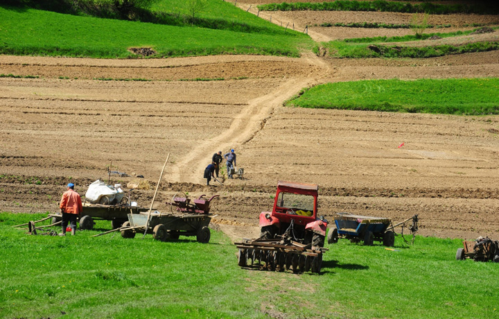 teren agricol Transilvania - Ziarul National