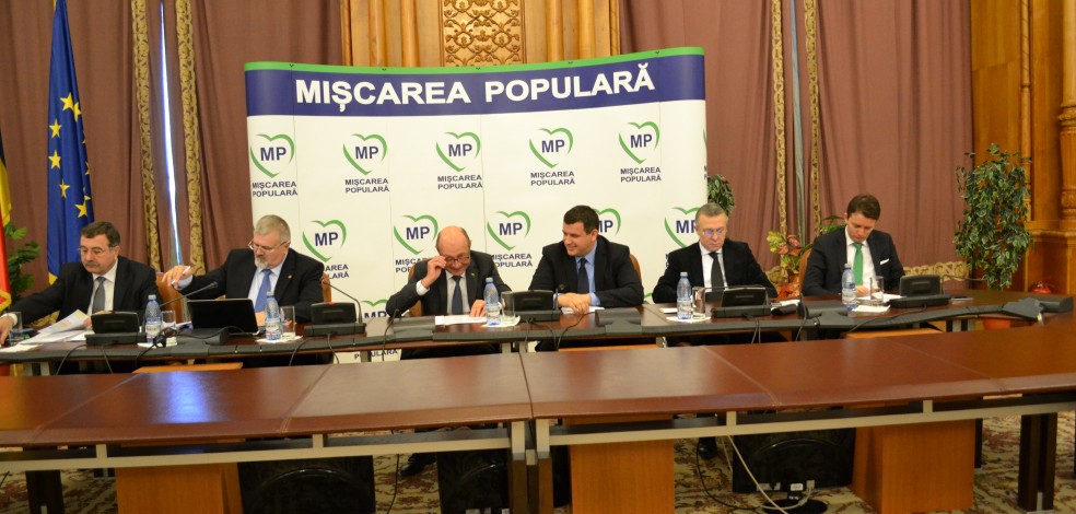 Consiliul National: MP discuta pe marginea alegerilor locale si a candidatilor pentru primariile de sector