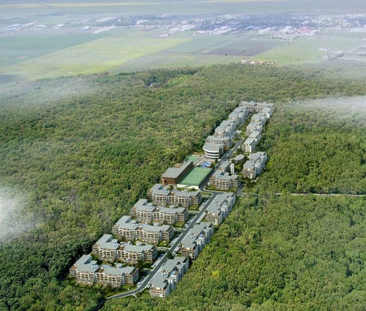 Ce semeni, aia culegi? Căutătorii de comori, descoperire şocantă în Pădurea Băneasa