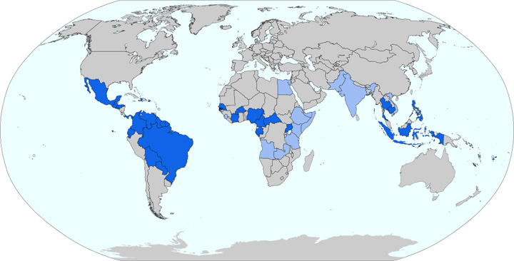 zika - Ziarul National