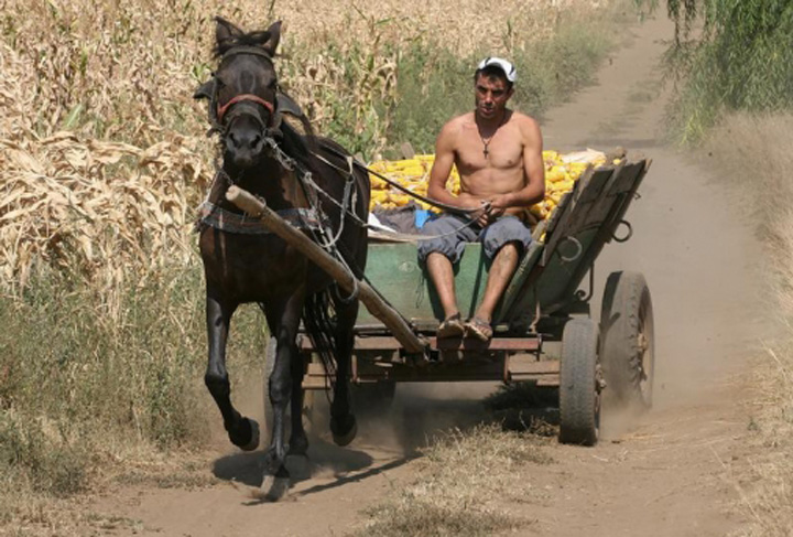 Romania are aproape jumatate din drumurile publice neasfaltate, din care 10.000 de kilomatri sunt de pamant!