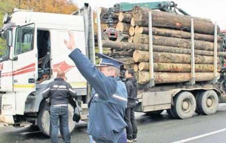 Cine sunt românii care pot cumpăra lemne de foc la preț subvenționat. Cui se acordă vouchere