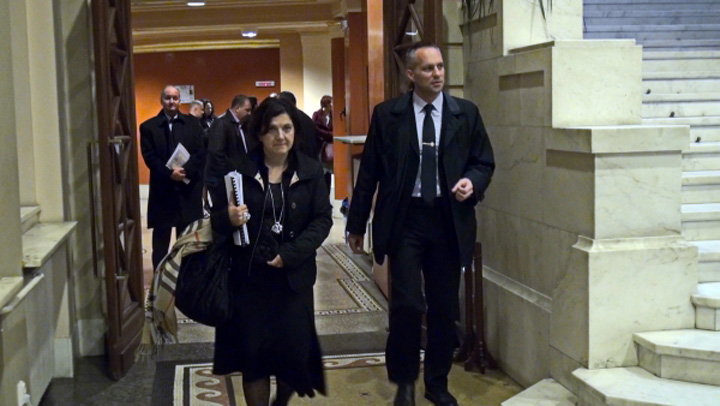 Raluca Pruna  netezeste calea confiscarii extinse a averilor