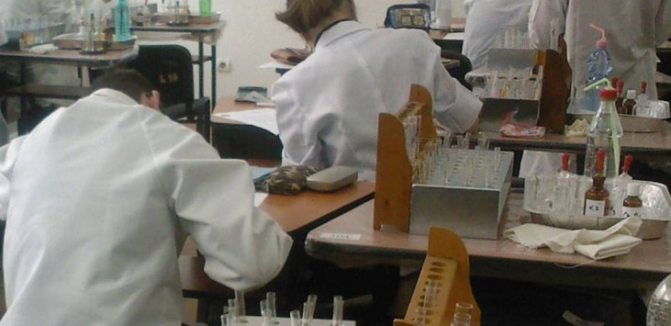 Sase medalii pentru elevii romani, la Olimpiada Internationala de Chimie