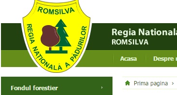 Sef nou la Romsilva