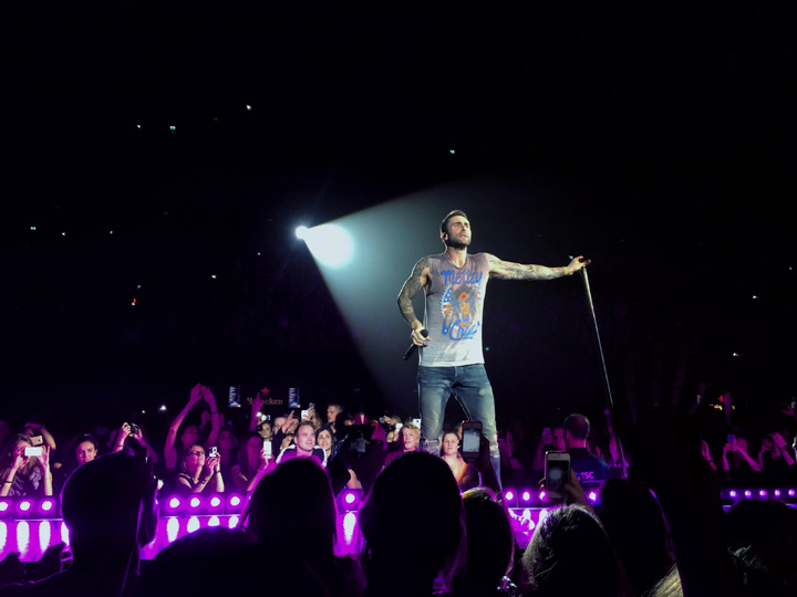 Maroon 5 a tras concluzia votului: „Animals“