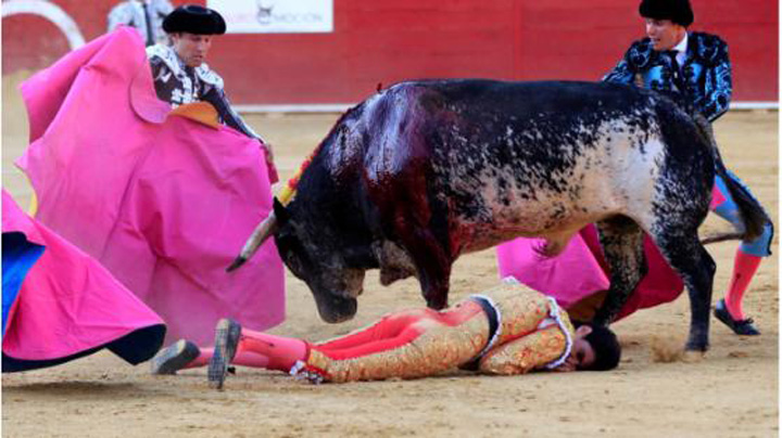 Toreador spintecat in arena