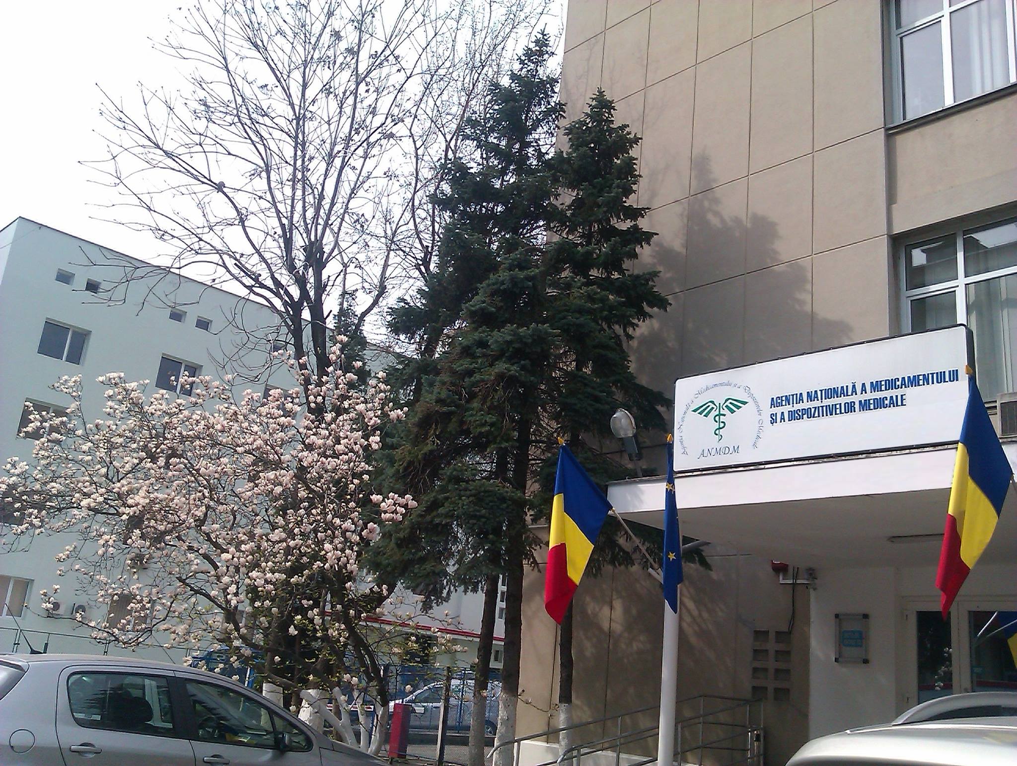 Vicepresedintele Agentiei Nationale a Medicamentului, retinut