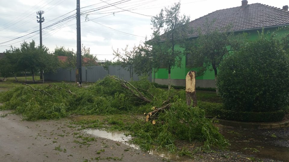 Vijeliile au afectat alimentarea cu electricitate in peste 120 de localitati