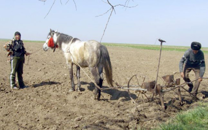 agricultura - Ziarul National