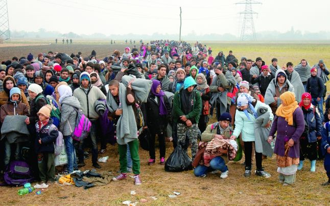 Calauzele bulgare, pret de dumping la refugiatii sirieni