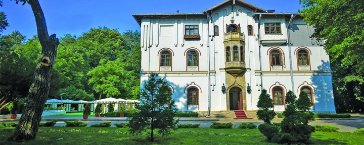 Palatul Stirbey se vinde din nou!