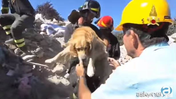 A supravietuit 9 zile sub daramaturi, in Amatrice (VIDEO)