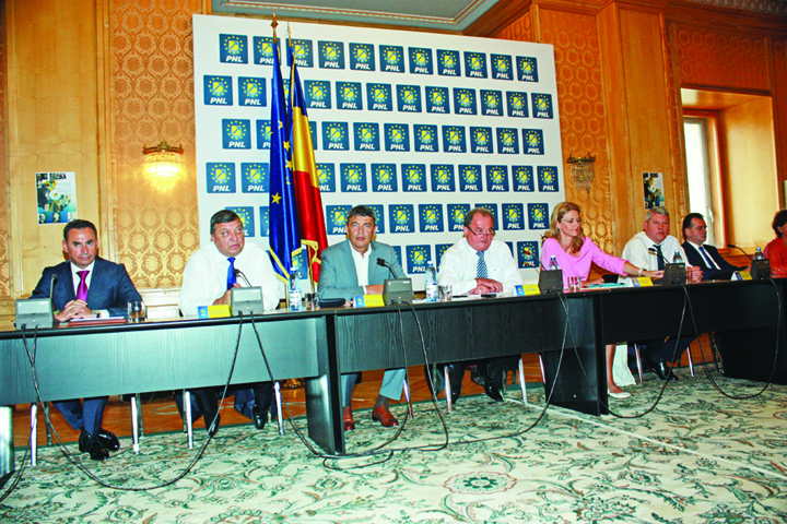 Greii PNL/PDL renunta la jocul de-a integritatea