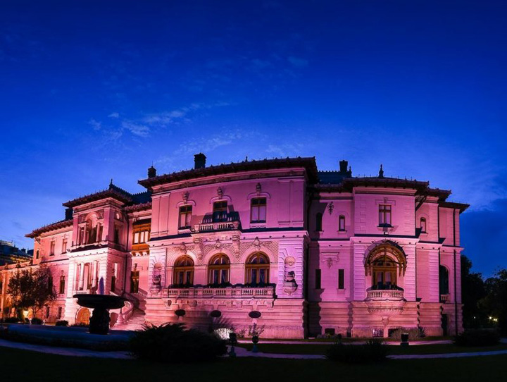 Palatul-Cotroceni-iluminat-in-roz-1102016-800x602 - Ziarul National