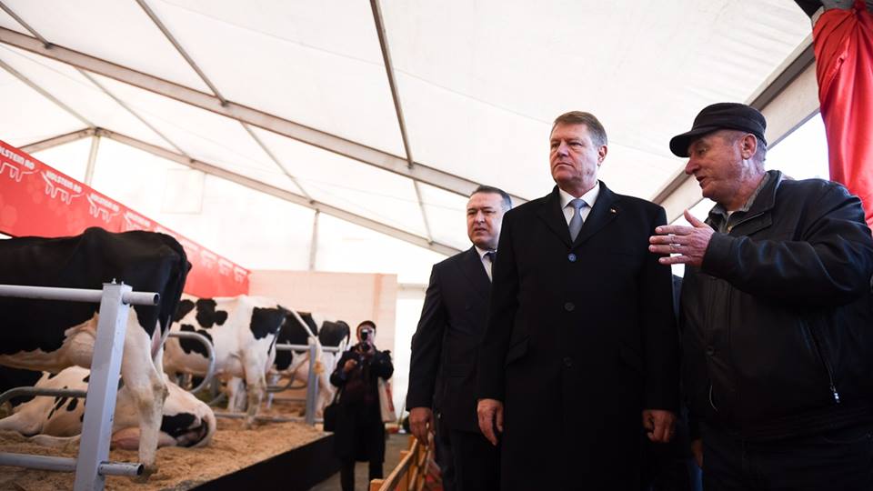 Iohannis, „ingrijorat” de procentul terenului agricol autohton instrainat