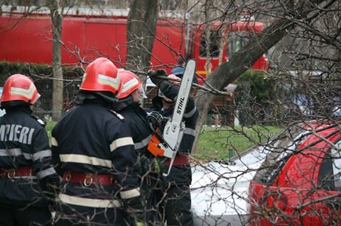 Vantul puternic ce sufla in Capitala a cauzat pagube insemnate