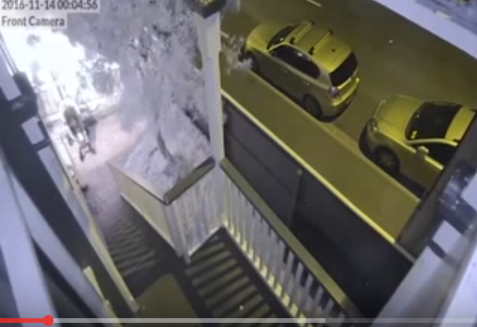 Cutremur de 7.8 grade in Noua Zeelanda, urmat de tsunami (VIDEO)
