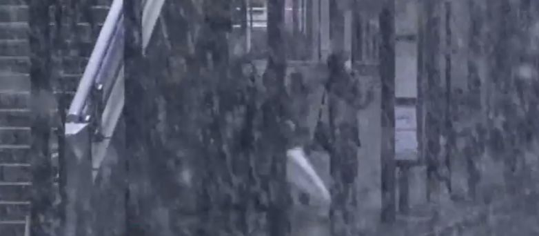 Imagini inedite: ninsoare de noiembrie, la Tokyo (VIDEO)