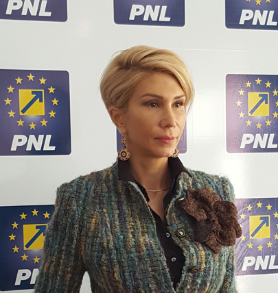 Turcan, dupa decizia CCR: Condamnatii penal nu au ce cauta in functii publice!