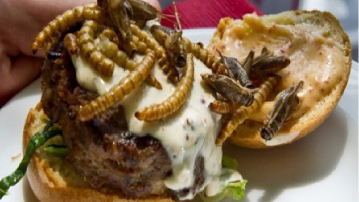 Burger cu insecte si viermi in Elvetia