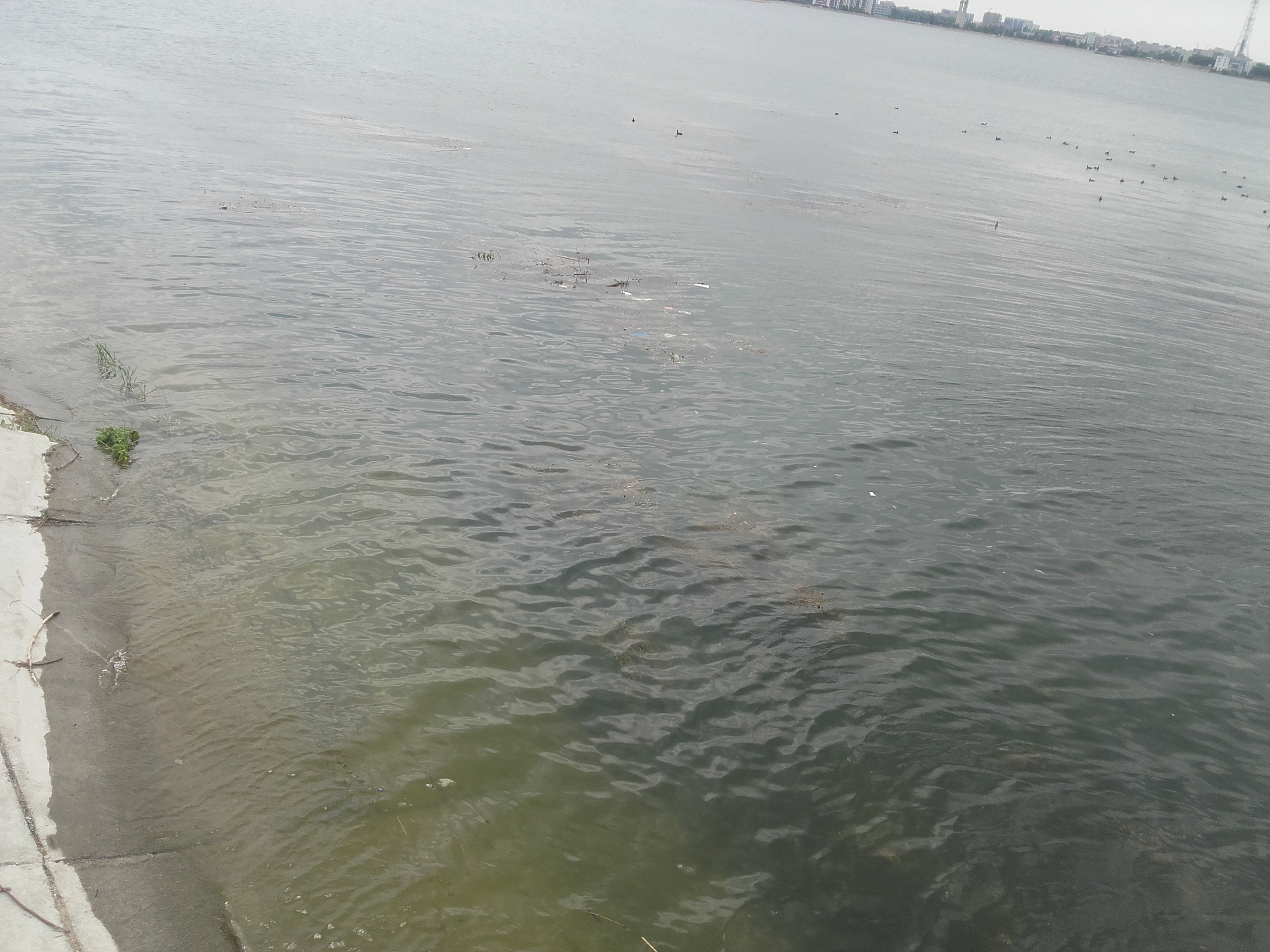 Barbat gasit mort in Lacul Morii din Capitala