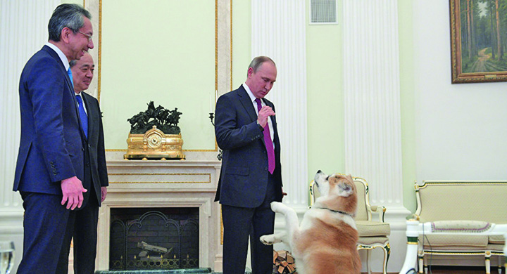 Putin isi pune cateaua pe japonezi