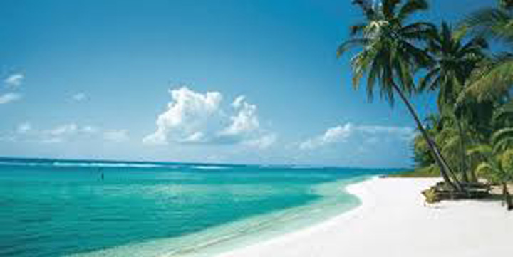paradis fiscal - Ziarul National