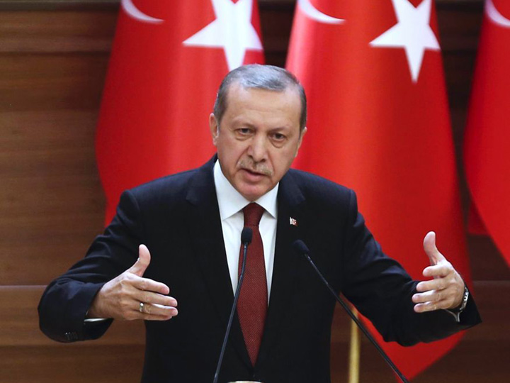 Erdogan, dezlantuit impotriva Germaniei!