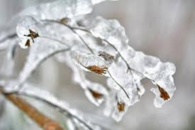 Avertizare de fenomene meteo imediate