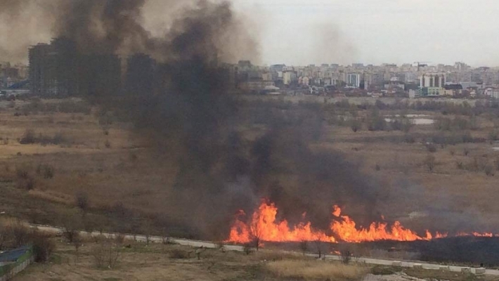 Incendiu in Delta Vacaresti, pompierii au intervenit de urgenta