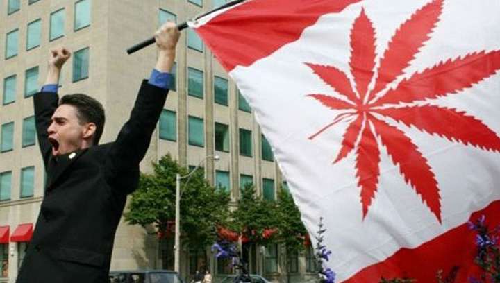 Peste 4,6 milioane de oameni vor fuma 655 tone de marijuana!